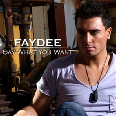 Faydee - Say What You Want download mp3 flac