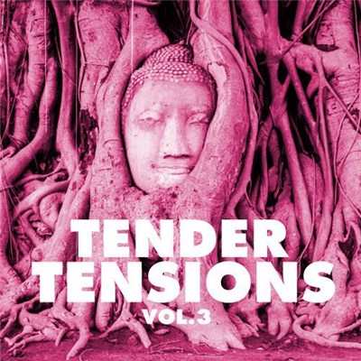 Various - Tender Tensions, Vol. 3 download mp3 flac