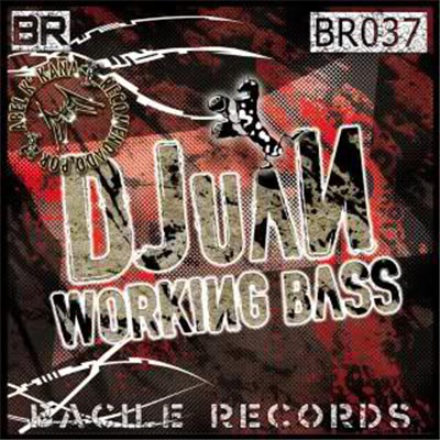 DJuaN - Working Bass download mp3 flac
