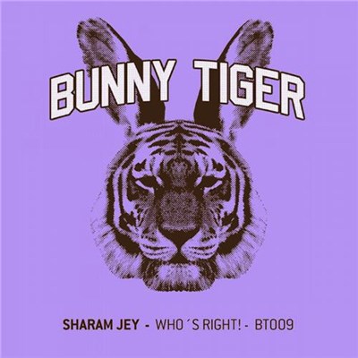 Sharam Jey - Who's Right! download mp3 flac