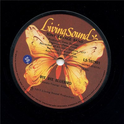 Tony Savage Band - Bye Bye Bluebird download mp3 flac
