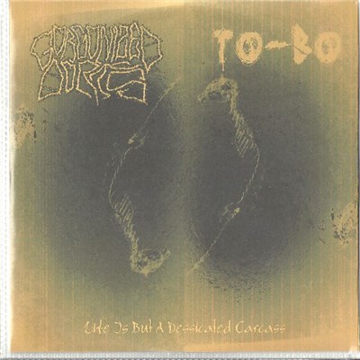Gorgonized Dorks / To-Bo - Life Is But A Dessicated Carcass download mp3 flac