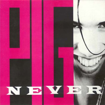 Pig - Never For Fun download mp3 flac