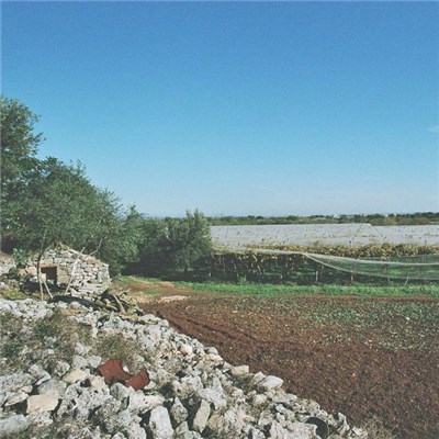 Architrave Indipendente - Azetium A Otto Piste download mp3 flac