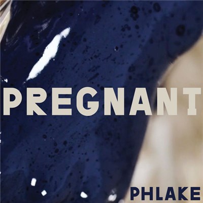 Phlake - Pregnant download mp3 flac