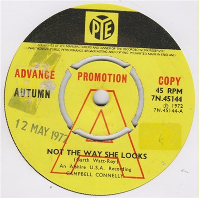 Autumn - Not The Way She Looks download mp3 flac