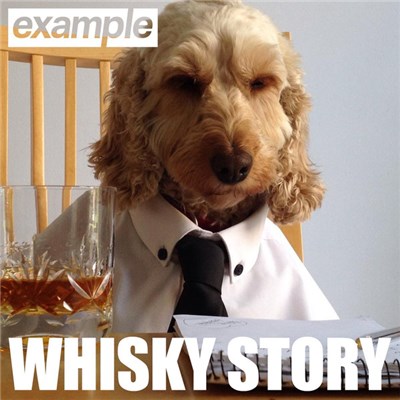 Example - Whisky Story download mp3 flac