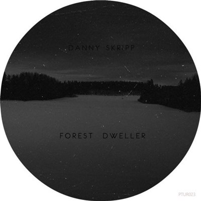 Danny Skripp - Forest Dweller download mp3 flac