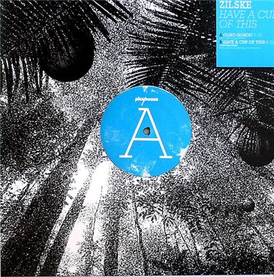 Holger Zilske - Have A Cup Of This download mp3 flac