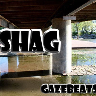 Shag - Volume 2: GazeBeats download mp3 flac