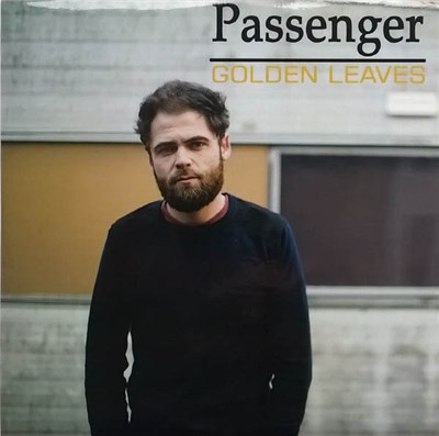 Passenger - Golden Leaves download mp3 flac