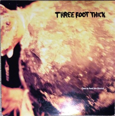 Three Foot Thick - Time To Feed The Ostrich download mp3 flac