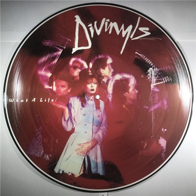 Divinyls - What A Life! download mp3 flac