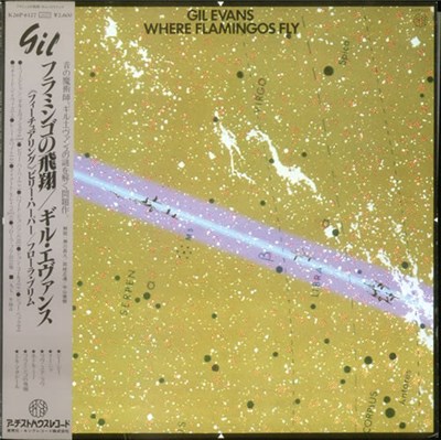 Gil Evans - Where Flamingos Fly download mp3 flac