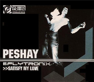Peshay vs. Flytronix - Satisfy My Love download mp3 flac