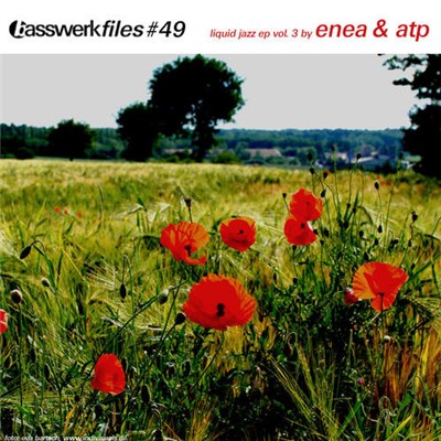 Enea & ATP - Liquid Jazz EP Vol. 3 download mp3 flac