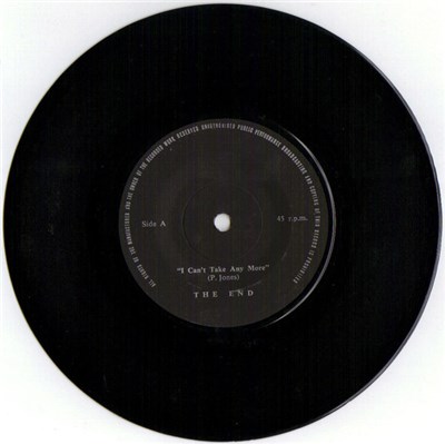 The End - I Can't Take Any More download mp3 flac