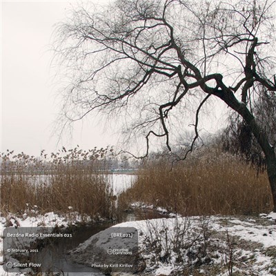 Various - Bezdna Radio Essentials 021 download mp3 flac