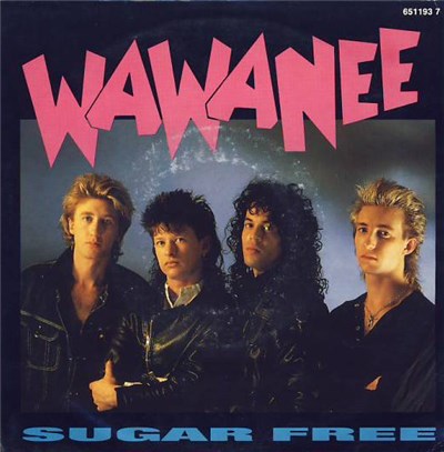 Wa Wa Nee - Sugar Free download mp3 flac
