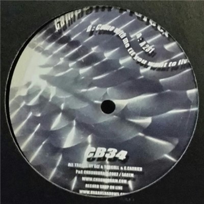 Cambelli Project - A231 / Come With Me (If You Want To Live) download mp3 flac