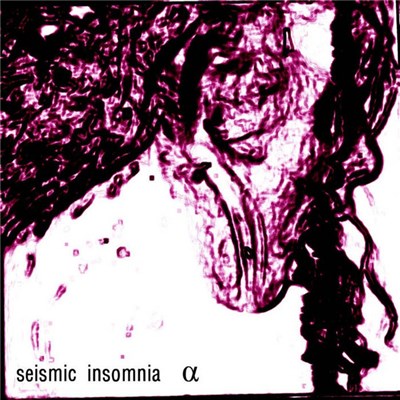 Seismic Insomnia download mp3 flac