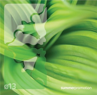 Various - Summerpromotion download mp3 flac
