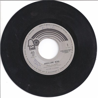David Cassidy - Rock Me Baby download mp3 flac