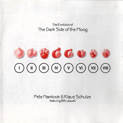 Pete Namlook & Klaus Schulze Featuring Bill Laswell - The Evolution Of The Dark Side Of The Moog download mp3 flac