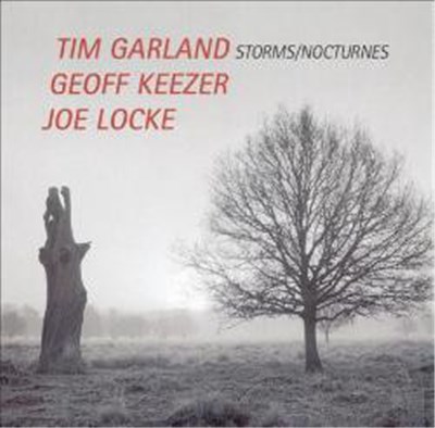 Tim Garland, Geoff Keezer, Joe Locke - Storms/Nocturnes download mp3 flac