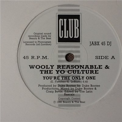 Wooly Reasonable & The Yo Culture - You're The Only One download mp3 flac