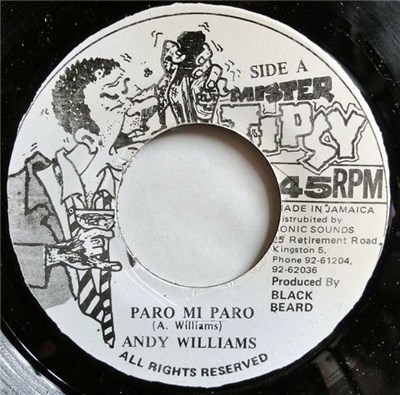 Andy Williams - Paro Mi Paro download mp3 flac