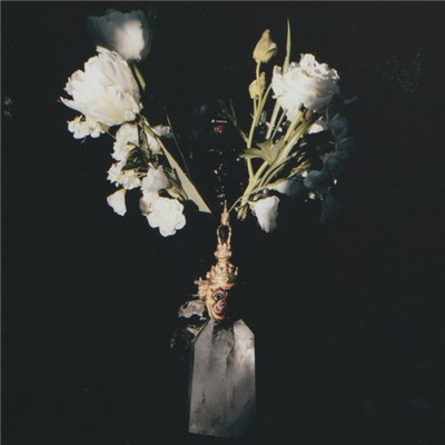 Qual - Cupio Dissolvi download mp3 flac