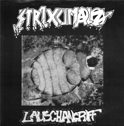 Strixumalz - Lauschangriff download mp3 flac