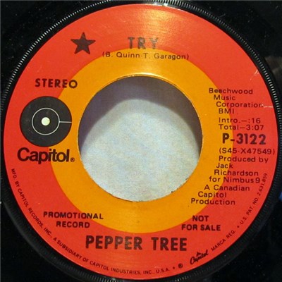 Pepper Tree - Try / How Many Times download mp3 flac