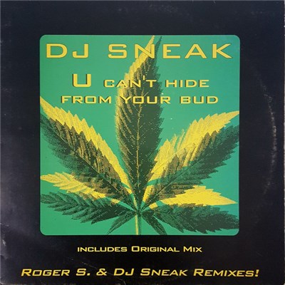 DJ Sneak - U Can't Hide From Your Bud download mp3 flac