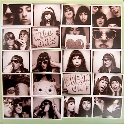 The Wild Ones - Dream On download mp3 flac