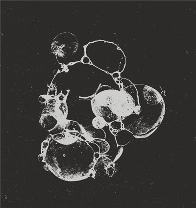 Drom - Tady Bůh Není! download mp3 flac