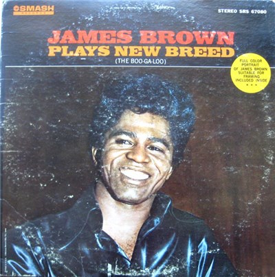 James Brown - Plays New Breed (The Boo-Ga-Loo) download mp3 flac