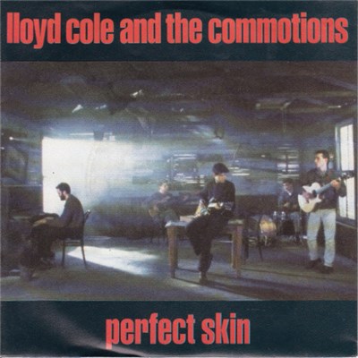 Lloyd Cole And The Commotions - Perfect Skin download mp3 flac