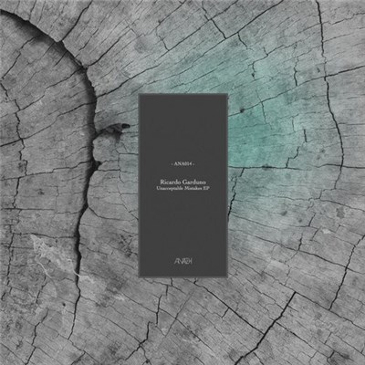 Ricardo Garduno - Unacceptable Mistakes EP download mp3 flac