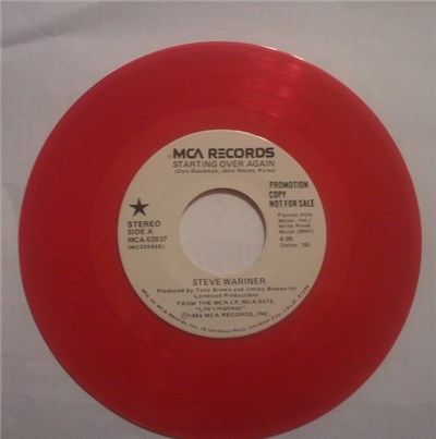 Steve Wariner - Starting Over Again download mp3 flac