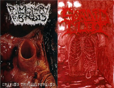 Pulmonary Fibrosis / Sordid Clot - Split download mp3 flac