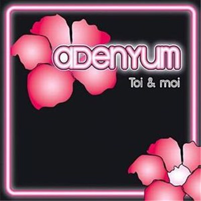 Adenyum - Toi Et Moi download mp3 flac