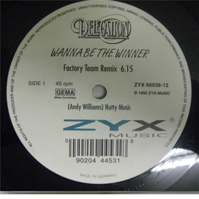 Delegation - Wanna Be The Winner download mp3 flac