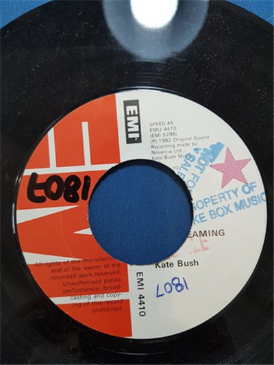 Kate Bush - The Dreaming download mp3 flac