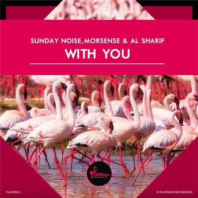 Sunday Noise , Morsense & AL Sharif - With You download mp3 flac