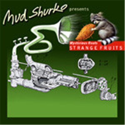 Mud Shurko - Mysterious Roots Strange Fruits download mp3 flac