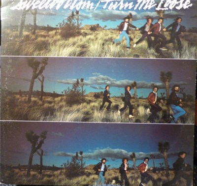 Sweetbottom - Turn Me Loose download mp3 flac