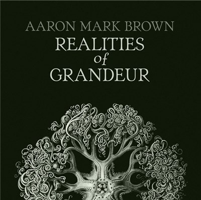 Aaron Mark Brown - Realities of Grandeur download mp3 flac