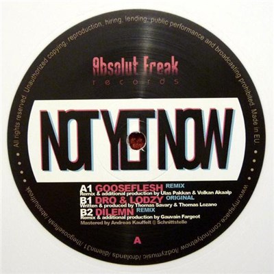 Dro & Lodzy - Not Yet Now download mp3 flac